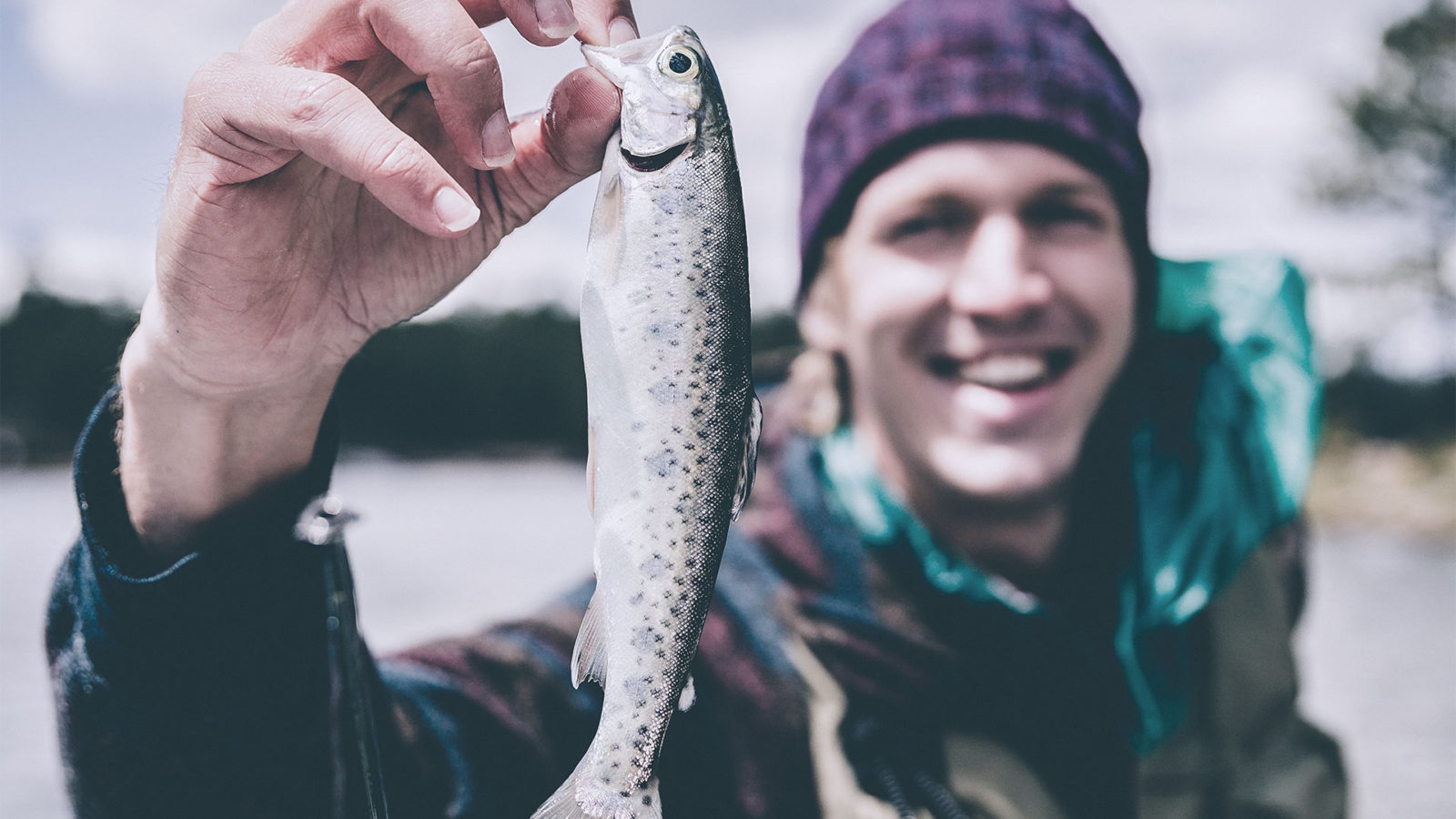 Salmon Fishing Rules Nz